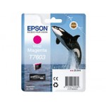 EPSON (T76034010) EPSON (T76034010)