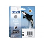 EPSON (T76074010) EPSON (T76074010)