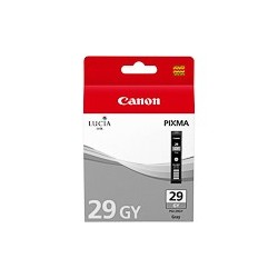 PGI29GY cartouche photo gris clair origine Canon Pixma Pro 1 4871B001