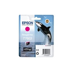 EPSON (T76034010)