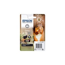 Cartouche jet d'encre Gris T04F64010 Original pour EPSON